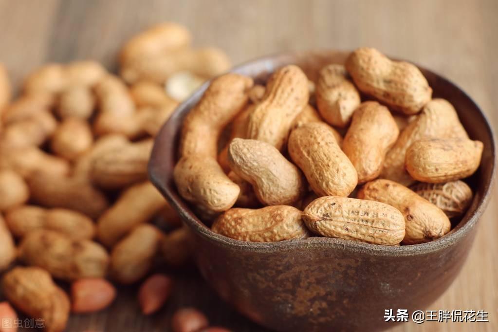 河南小巷深处的花生探秘,最新捡花生视频公开!